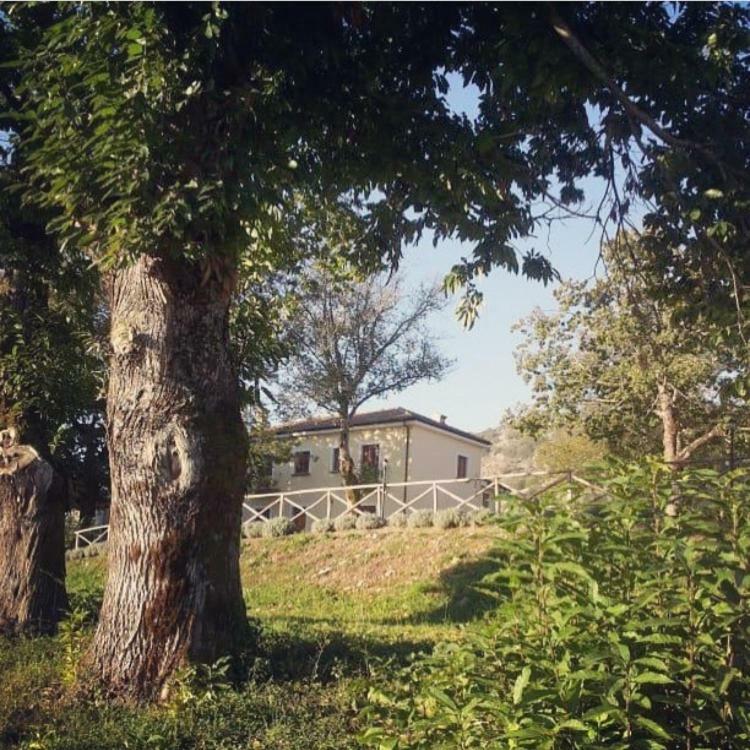 Agriturismo Acquafredda Villa Mormanno Eksteriør billede
