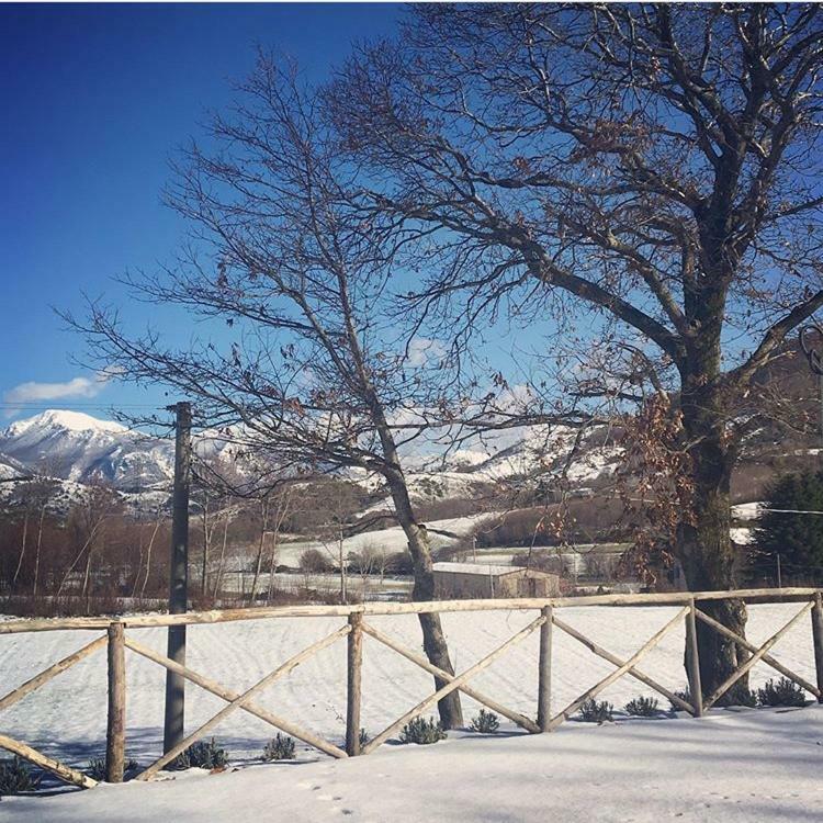 Agriturismo Acquafredda Villa Mormanno Eksteriør billede